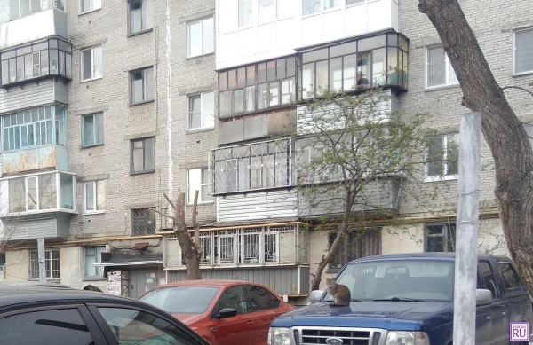 Курганцам пора платить налоги. Срок - до 1 декабря