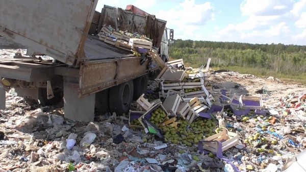 В Курганской области уничтожили больше тонны груш В Курганской области уничтожили больше тонны груш