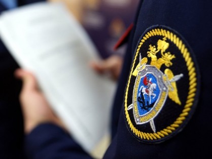 В Варгашинском районе следователи СК задержали бывшую Главу сельского совета по подозрению в превышении должностных полномочий и мошенничестве 