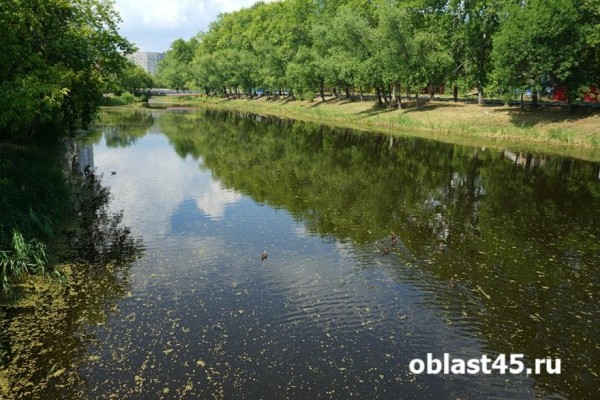 В Кургане начали чистить старицу реки Битёвки 