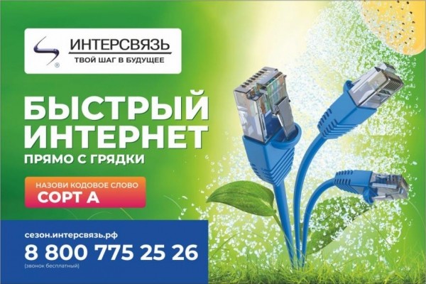 Один из крупнейших операторов связи Южного Урала бесплатно подключает интернет в частном секторе