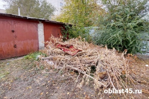 &laquo;Хоть на Марс звоните&raquo;. Курганцы не могут добиться помощи от управкомпании 