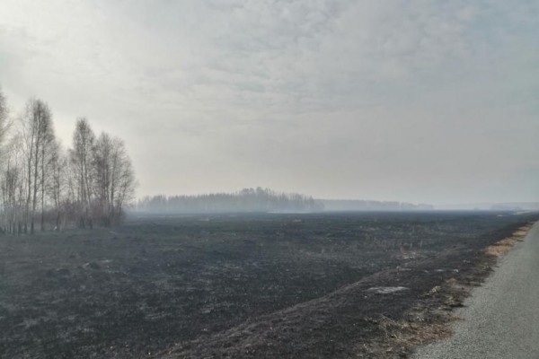 Районы Курганской области в дыму