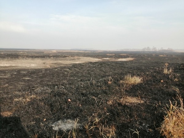 Районы Курганской области в дыму