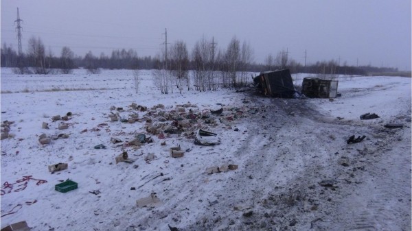 В Зауралье в аварии с большегрузом погиб водитель «Газели» В Зауралье в аварии с большегрузом погиб водитель «Газели»