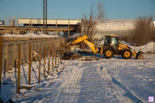 В Кургане начали строить приют для бездомных кошек и собак