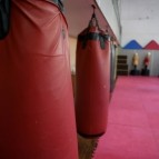 Курганские спортсмены готовятся к соревнованиям в капитально отремонтированном Центре единоборств
Курганские спортсмены готовятся к соревнованиям в капитально отремонтированном Центре единоборств