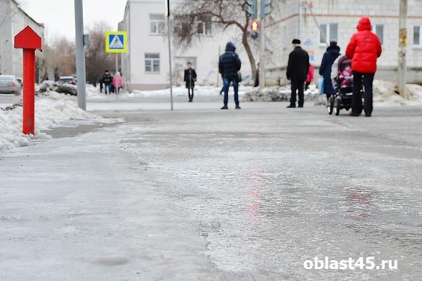 Власти Курганской области готовы продлить отмену занятий в школах Власти Курганской области готовы продлить отмену занятий в школах