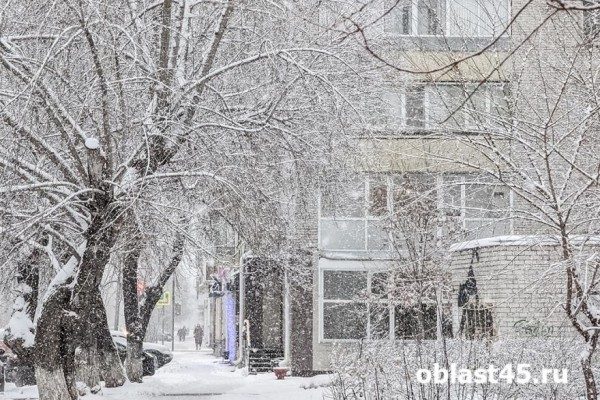 Дороги в Кургане посыплют реагентами в два часа дня 