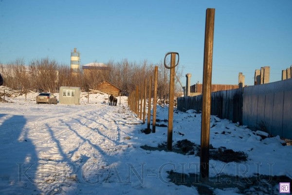 В Кургане начали строить приют для бездомных кошек и собак