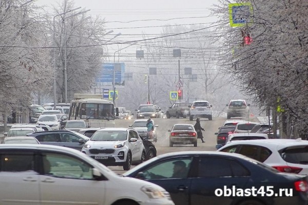 В России для будущих водителей вводят новую программу обучения