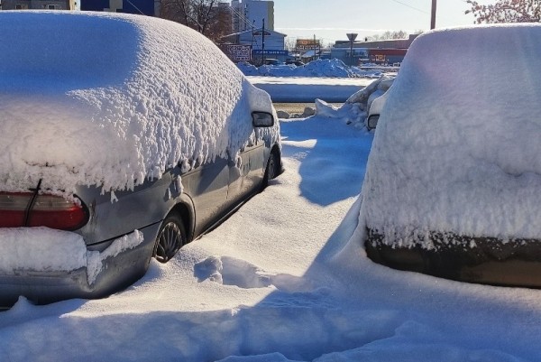 Глава города проверила качество уборки снега&nbsp;на дорогах Кургана