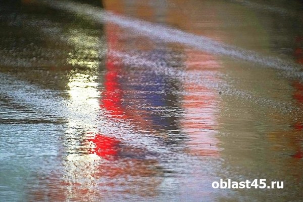 Из-за непогоды в курганских школах отменили занятия Из-за непогоды в курганских школах отменили занятия