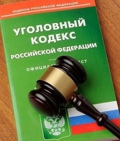 В отношении жителя Кургана возбуждено уголовное дело об угрозе применения насилия к участковому уполномоченному полиции и сотрудникам Росгвардии