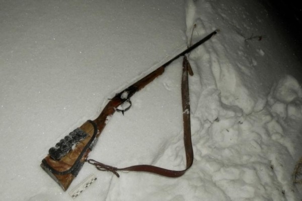 Зауральцам грозит 2 года тюрьмы за незаконное убийство лося