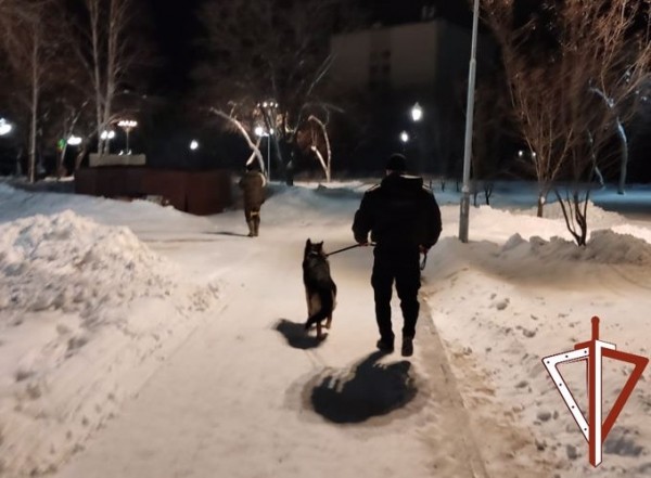 В новогоднюю ночь росгвардейцы обеспечили правопорядок в Зауралье В новогоднюю ночь росгвардейцы обеспечили правопорядок в Зауралье