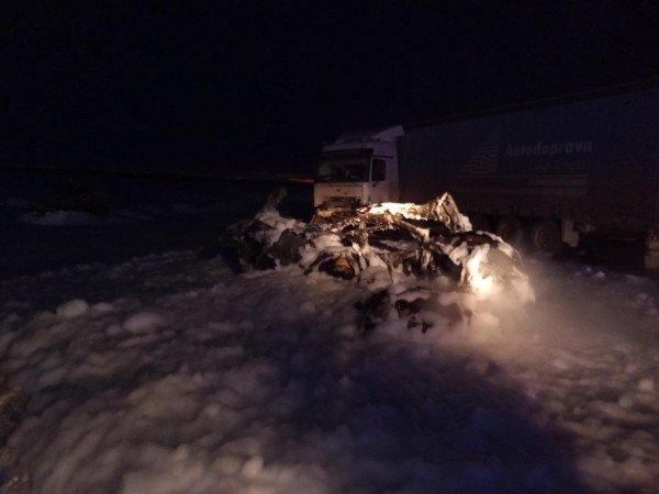 На трассе в Курганской области водитель погиб в аварии с грузовиком На трассе в Курганской области водитель погиб в аварии с грузовиком