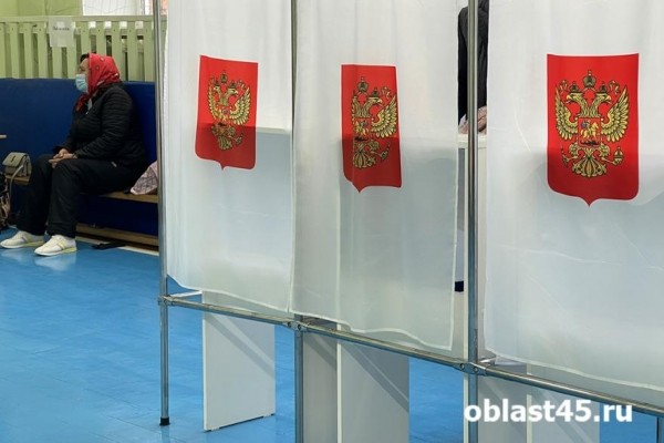 В Кургане пройдут новые выборы в городскую думу