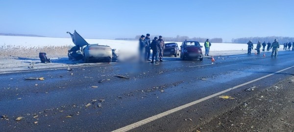 В Курганской области на трассе произошло смертельное ДТП В Курганской области на трассе произошло смертельное ДТП