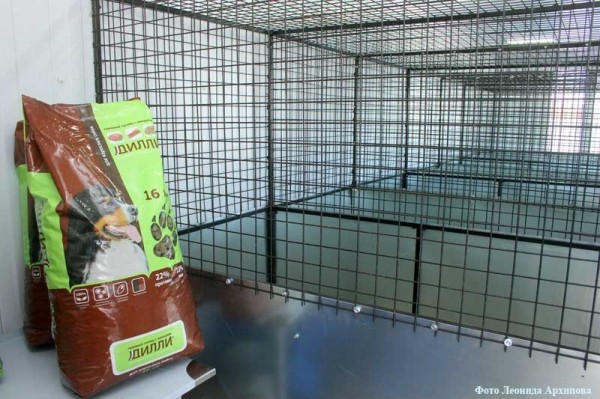 В Кургане начал работать муниципальный приют для животных В Кургане начал работать муниципальный приют для животных