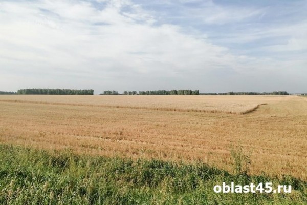 В России решили временно приостановить экспорт сахара и зерна в страны ЕАЭС В России решили временно приостановить экспорт сахара и зерна в страны ЕАЭС
