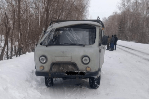 В Курганской области водитель въехал в дерево