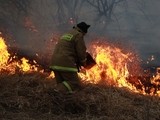 В Курганской области сохраняется сложная пожароопасная ситуация в нескольких округах
В Курганской области сохраняется сложная пожароопасная ситуация в нескольких округах