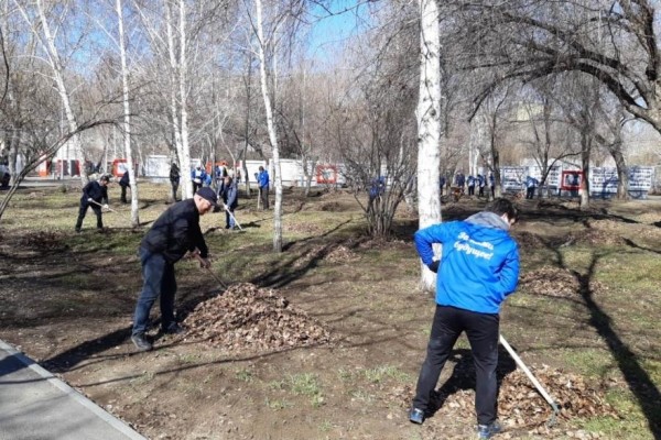 Курганская областная Дума вышла на городской субботник