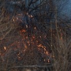 В Курганской области сохраняется сложная пожароопасная ситуация в нескольких округах
В Курганской области сохраняется сложная пожароопасная ситуация в нескольких округах