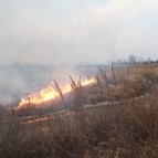 В Курганской области сохраняется сложная пожароопасная ситуация в нескольких округах
В Курганской области сохраняется сложная пожароопасная ситуация в нескольких округах
