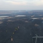 В Курганской области сохраняется сложная пожароопасная ситуация в нескольких округах
В Курганской области сохраняется сложная пожароопасная ситуация в нескольких округах