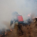 В Курганской области сохраняется сложная пожароопасная ситуация в нескольких округах
В Курганской области сохраняется сложная пожароопасная ситуация в нескольких округах