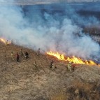 В Курганской области сохраняется сложная пожароопасная ситуация в нескольких округах
В Курганской области сохраняется сложная пожароопасная ситуация в нескольких округах