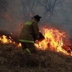 В Курганской области сохраняется сложная пожароопасная ситуация в нескольких округах
В Курганской области сохраняется сложная пожароопасная ситуация в нескольких округах