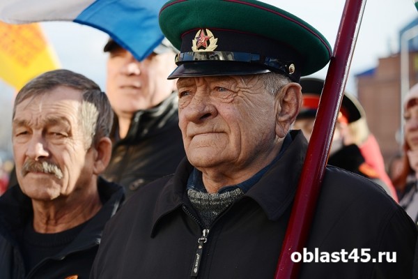 Политики Зауралья высказались о необходимости поддержать ДНР