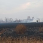 В Курганской области сохраняется сложная пожароопасная ситуация в нескольких округах
В Курганской области сохраняется сложная пожароопасная ситуация в нескольких округах
