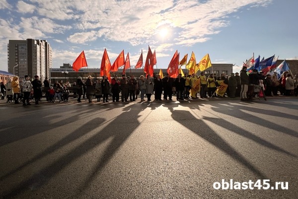 Политики Зауралья высказались о необходимости поддержать ДНР