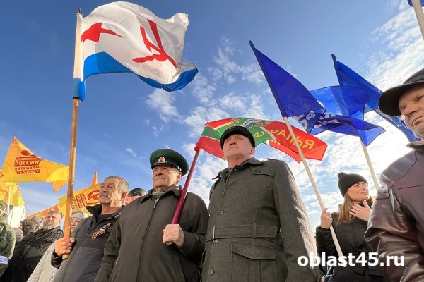 Политики Зауралья высказались о необходимости поддержать ДНР