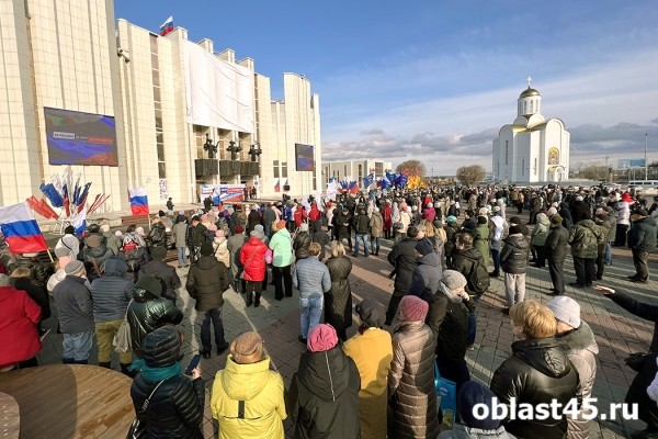 Политики Зауралья высказались о необходимости поддержать ДНР