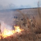 В Курганской области сохраняется сложная пожароопасная ситуация в нескольких округах
В Курганской области сохраняется сложная пожароопасная ситуация в нескольких округах
