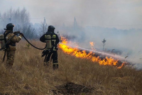 В Курганской области нашли виновников очередных пожаров