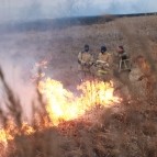 В Курганской области сохраняется сложная пожароопасная ситуация в нескольких округах
В Курганской области сохраняется сложная пожароопасная ситуация в нескольких округах
