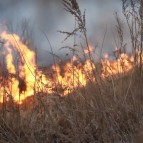 В Курганской области сохраняется сложная пожароопасная ситуация в нескольких округах
В Курганской области сохраняется сложная пожароопасная ситуация в нескольких округах