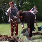 
											В Курганской области высадили яблоневую аллею в память о героически погибшем в ходе спецоперации на Украине сержанте Николае Железняке									