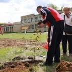 
											В Курганской области высадили яблоневую аллею в память о героически погибшем в ходе спецоперации на Украине сержанте Николае Железняке									
