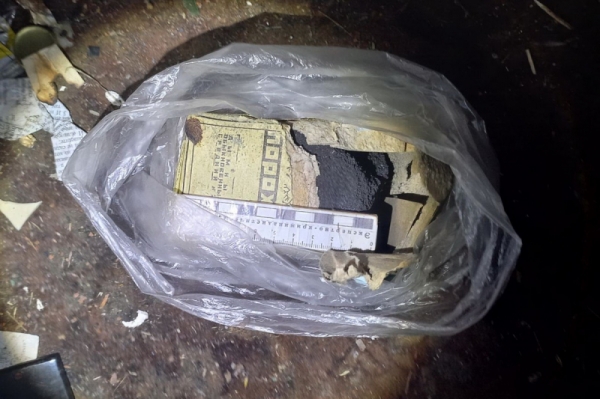 В Курганской области задержали хранителя марихуаны