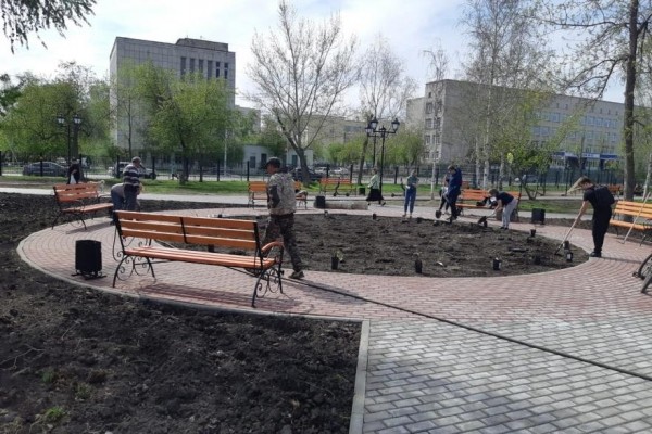 В Городском саду Кургана высадили несколько сортов роз