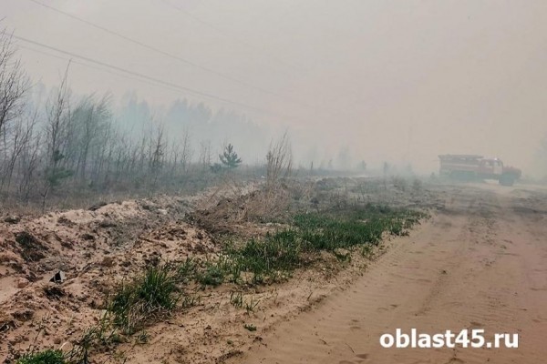 В Курганской области ситуация с пожарами остаётся стабильной