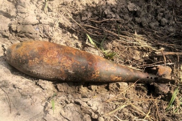 В Курганской области нашли боевую мину рядом со стоянкой для фур