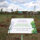 
											В Курганской области высадили яблоневую аллею в память о героически погибшем в ходе спецоперации на Украине сержанте Николае Железняке									